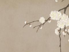 摩羯座十一月運勢怎么樣 摩羯座十一月份的運勢