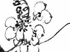 屬鼠和屬什么的女人最好,屬鼠和什么屬相女最配