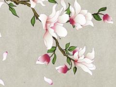 央視任魯豫八字命理 央視任魯豫主持的節目