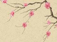 屬鼠女跟屬豬男婚配,屬鼠女跟屬豬男婚配如何