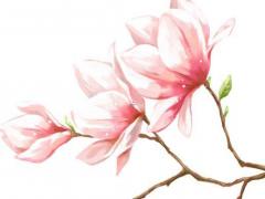 一年給情人多少錢適合 一年給情人20萬算多嗎