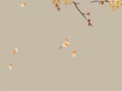 怎么解讀八字里的意思和含義 八字里面的是什么意思