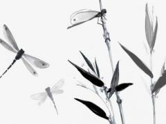 什么八字的人城府深 什么八字的人很窮