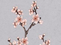 中西文化比較十二生肖羊的寓意 生肖羊有什么特殊的意義