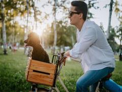 名人面相解析:馬云面相分析,n年前,關(guān)于馬云面相