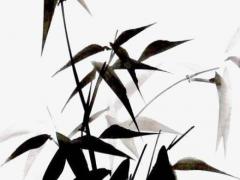 12屬相相生相克一覽表 十二生肖屬相相生相克