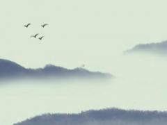 八字算命官府詞訟 官運