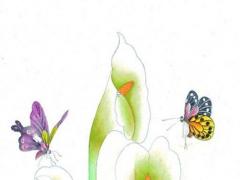 女37歲屬豬,豬37歲女的今年好不好