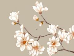 屬蛇的十字繡圖案大全 屬蛇的吉祥圖案