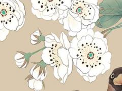 八字偏財(cái)比肩什么意思 偏財(cái)比肩是什么意思