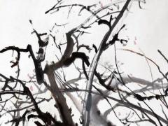 屬蛇帶禾字旁最旺的字,屬蛇的字有哪些