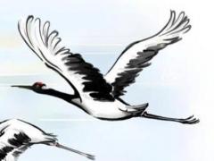 1988年屬龍木命男,88年屬龍木命是什么意思