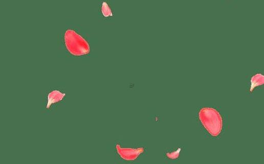 測算生辰八字網(wǎng)站 測生辰八字算命免費