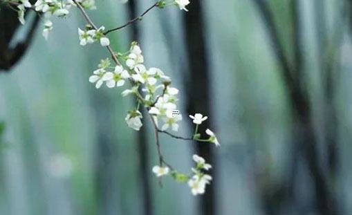 算命說官至六卿啥意思 官至六卿是現(xiàn)在的什么官位