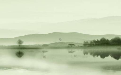 72年生肖屬鼠幾月生的最好，72年屬鼠出生月命運(yùn)