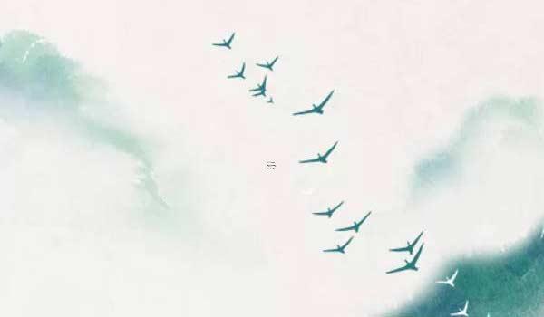 屬猴的人最佳屬相,屬猴的最佳配偶屬相是什么 屬猴的人最佳屬相,屬猴的最佳配偶屬相是什么