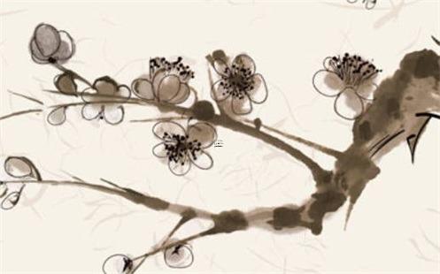 83年屬豬何時發達,83年屬豬的哪一年運氣最好