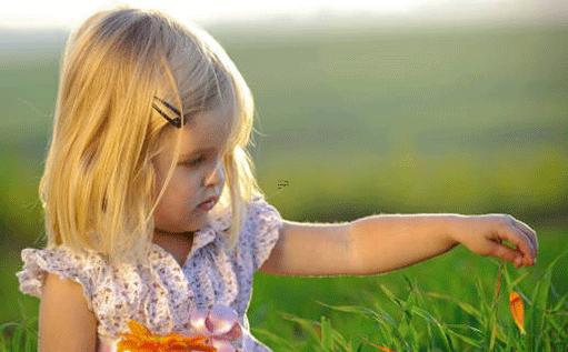 蕭的姓氏起源 蕭的姓氏起源和歷史 蕭的姓氏起源 蕭的姓氏起源和歷史