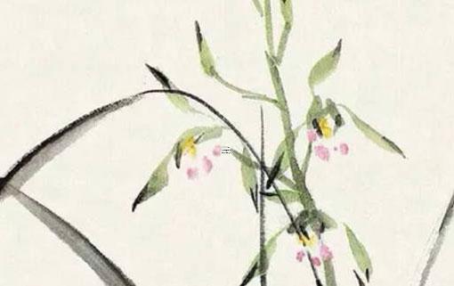 四柱華蓋八字三陰的男命好嗎 四柱神煞三個華蓋 四柱華蓋八字三陰的男命好嗎 四柱神煞三個華蓋