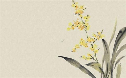 生肖豬的更佳婚配 豬生肖最配婚姻 生肖豬的更佳婚配 豬生肖最配婚姻