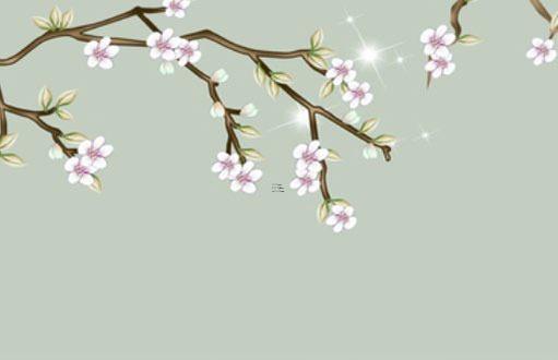 屬猴的今年2019年幾歲了，屬猴2019年多少歲