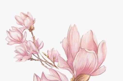 屬蛇今年婚姻狀況，屬蛇的今年的婚姻