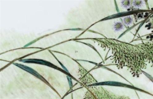 41歲天蝎女 大齡天蝎女32歲 41歲天蝎女 大齡天蝎女32歲