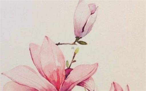 豬本命年戴兔還是帶虎好,生肖豬本命年佩戴什么 豬本命年戴兔還是帶虎好,生肖豬本命年佩戴什么