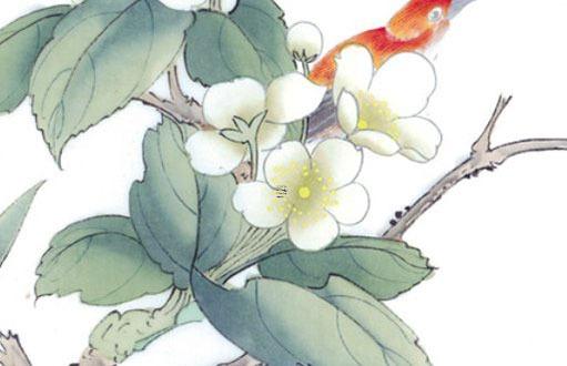 92年屬猴的人今年婚姻怎么樣,92年的猴今年有沒有婚配的可能 92年屬猴的人今年婚姻怎么樣,92年的猴今年有沒有婚配的可能