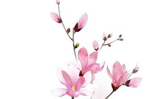 好聽的2字戰(zhàn)隊(duì)名字 好聽的2字戰(zhàn)隊(duì)名字