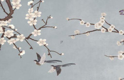 74年屬虎的人今年財運怎么樣 74年屬虎的人今年運氣好嗎？