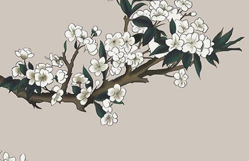 麻煩大神看看八字 看一下八字 麻煩大神看看八字 看一下八字