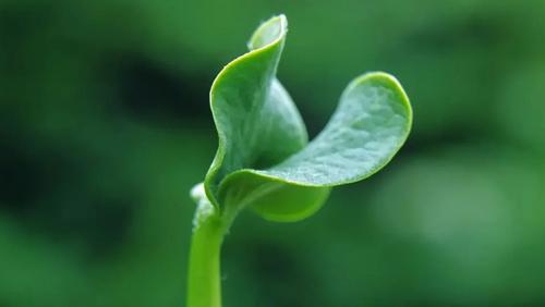 夢見送書給別人 夢見送書給別人