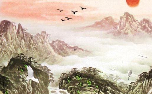 家中種什么植物旺財 家里種什么綠植旺財運 家中種什么植物旺財 家里種什么綠植旺財運