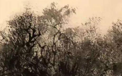 廣州轉運公司已發出什么意思啊 轉運中心公司已發出然后不動了 廣州轉運公司已發出什么意思啊 轉運中心公司已發出然后不動了