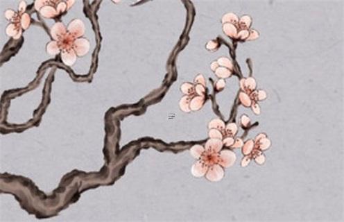 八字孤寡是什么意思 八字犯孤寡的破法 八字孤寡是什么意思 八字犯孤寡的破法