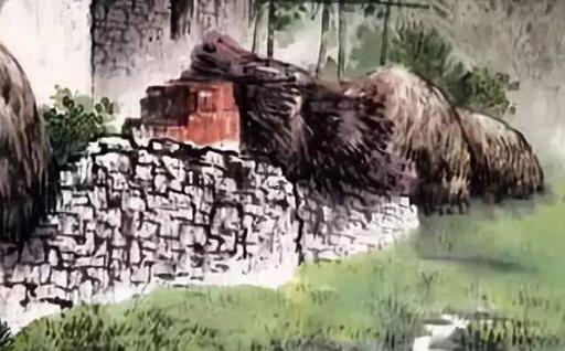 美人尖圖解 美人尖長什么樣 美人尖圖解 美人尖長什么樣