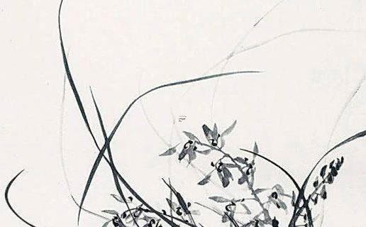 算命里的蓮花什么意思 蓮花落算卦 算命里的蓮花什么意思 蓮花落算卦