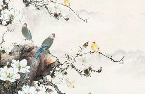 87屬兔一生有幾次劫難 1987生肖兔一生有幾劫 87屬兔一生有幾次劫難 1987生肖兔一生有幾劫