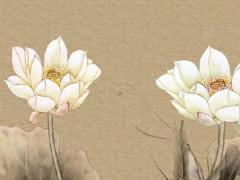 免費心理測試網(wǎng)站 心理測試網(wǎng)站推薦