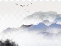 甲寅年的虎在2023年的運勢,甲寅年好嗎