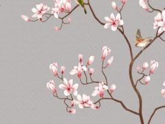 屬蛇77年今年有幾歲,77年屬蛇今年虛歲多少