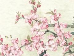 八字木火通明己土泄秀 木火通明格局用神