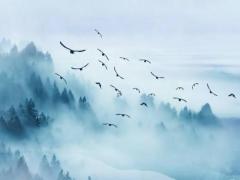 白羊座和雙子座在一起合適嗎 白羊座和雙子座合不合適