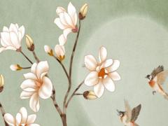 女命生來(lái)八字經(jīng)是什么意思 女命生來(lái)八字輕