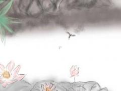 2003年男屬猴,2003年屬猴婚配