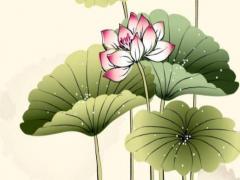 八字偏弱八字喜木什么意思 八字偏弱八字喜木是什么意思