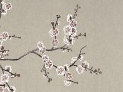 本命年下一年怎么樣 本命年的下一年很倒霉