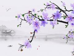 八字天干哪個富貴 天干看富貴