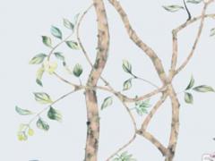 屬虎人多少歲結婚 屬虎多少歲結婚好